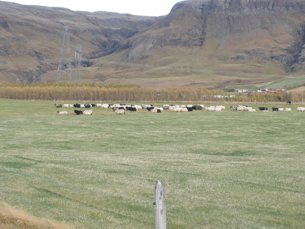 Vorsabaer 2 Holiday Home Fjall Room photo